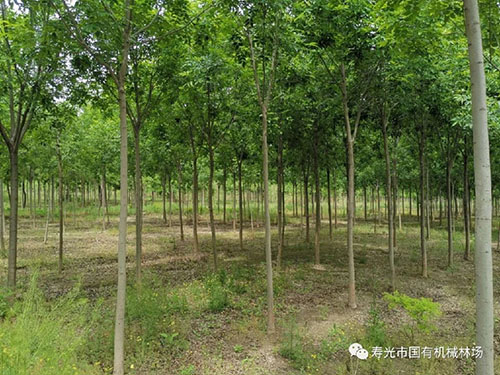 伟意国际(中国区)官方网站