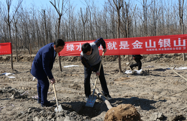 伟意国际(中国区)官方网站