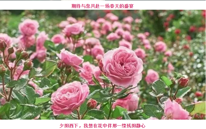 伟意国际(中国区)官方网站