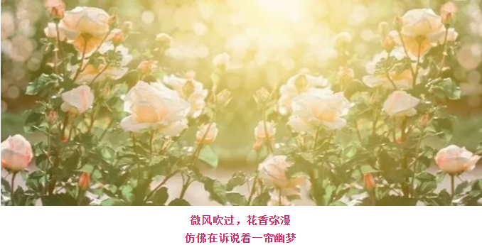 伟意国际(中国区)官方网站