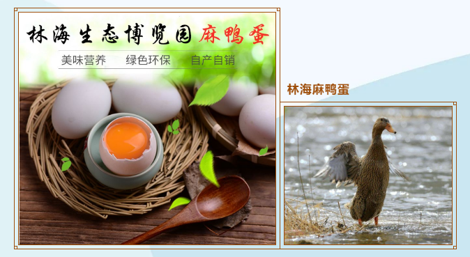 伟意国际(中国区)官方网站