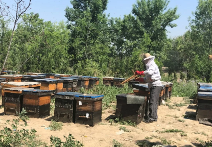 伟意国际(中国区)官方网站