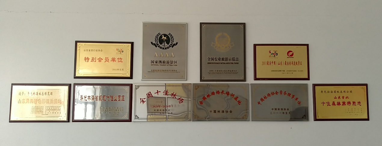 伟意国际(中国区)官方网站