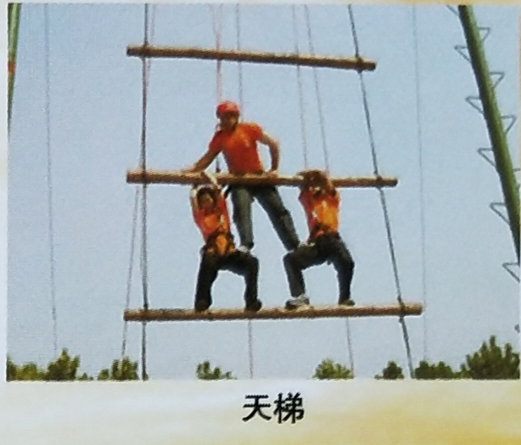 伟意国际(中国区)官方网站