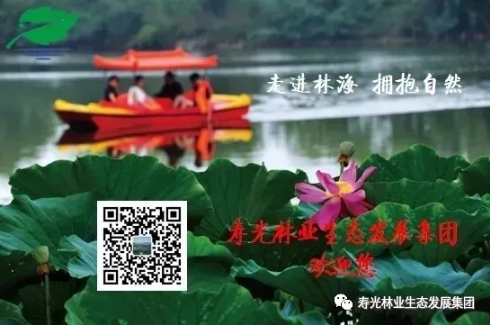 伟意国际(中国区)官方网站