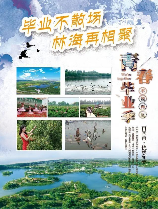 伟意国际(中国区)官方网站