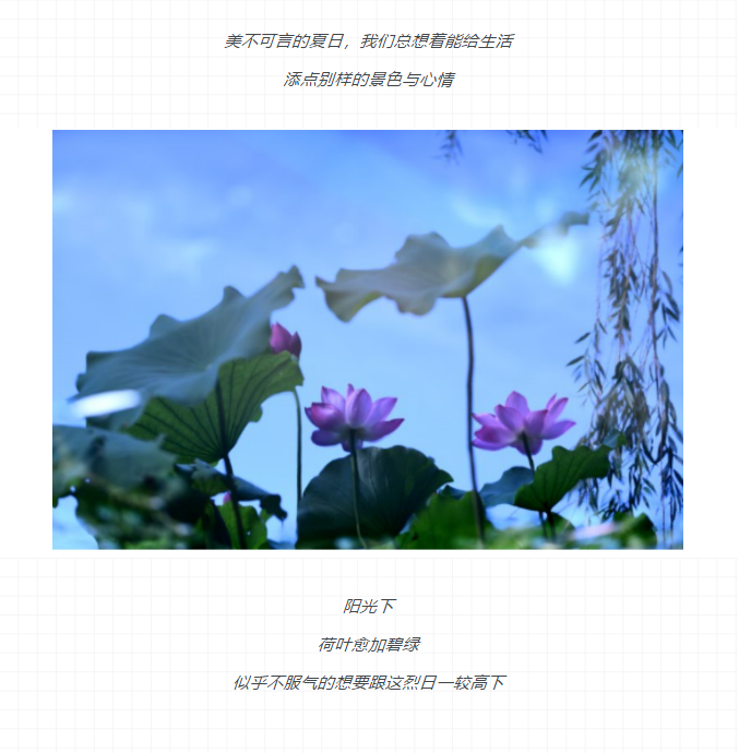 伟意国际(中国区)官方网站
