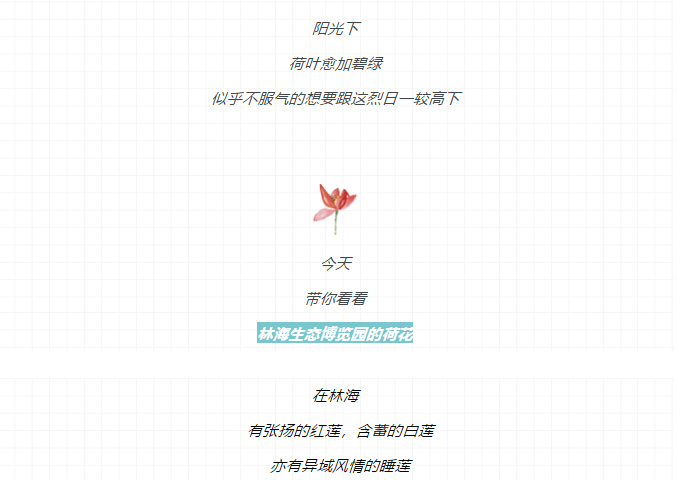 伟意国际(中国区)官方网站