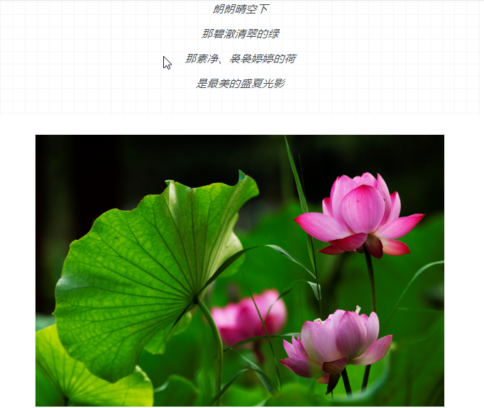伟意国际(中国区)官方网站