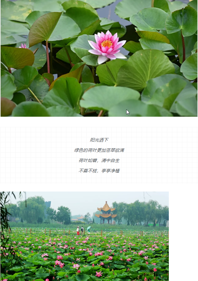 伟意国际(中国区)官方网站