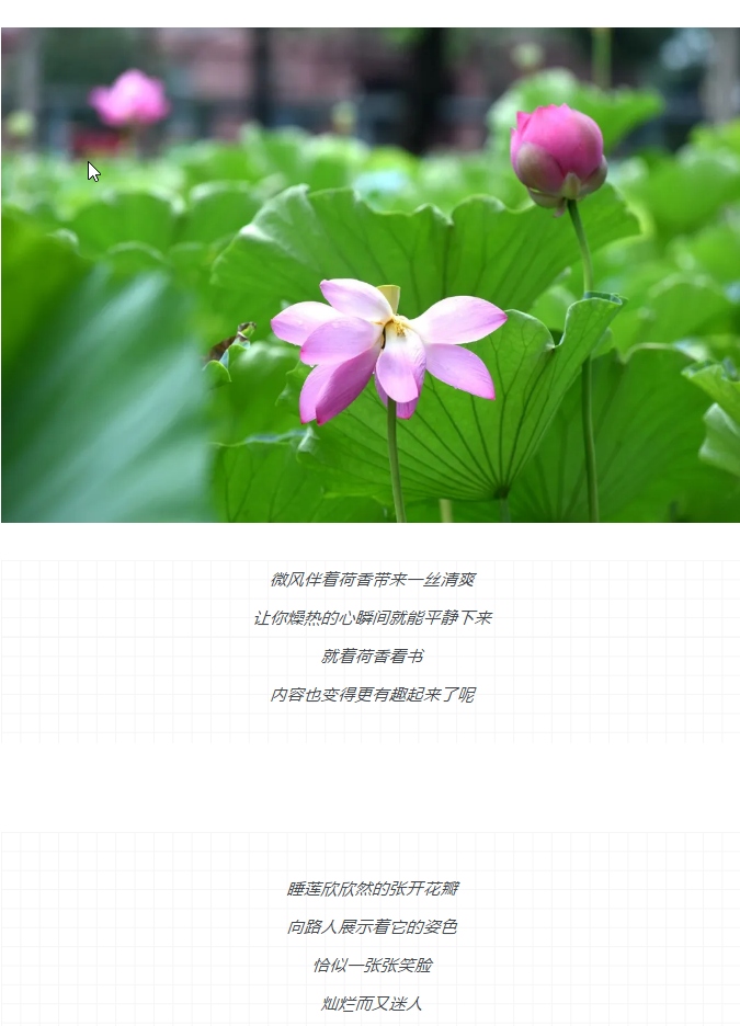 伟意国际(中国区)官方网站