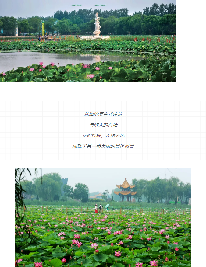 伟意国际(中国区)官方网站