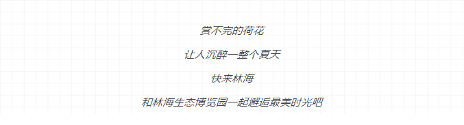 伟意国际(中国区)官方网站