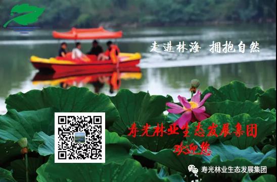 伟意国际(中国区)官方网站