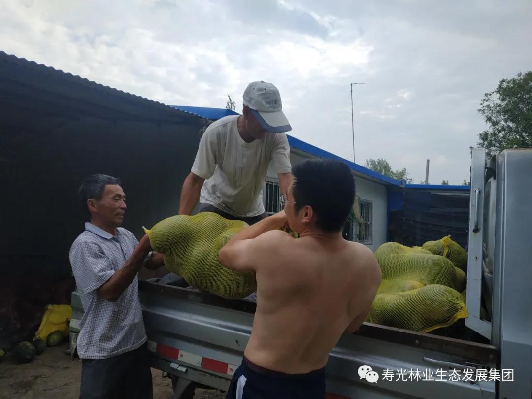 伟意国际(中国区)官方网站