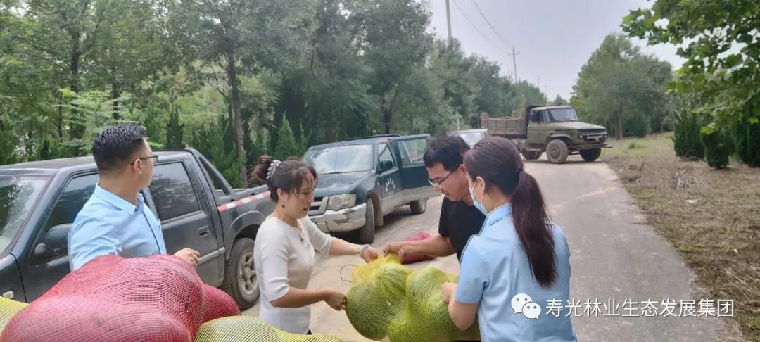 伟意国际(中国区)官方网站