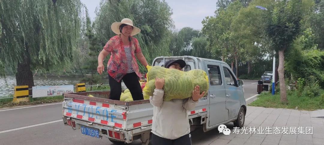 伟意国际(中国区)官方网站