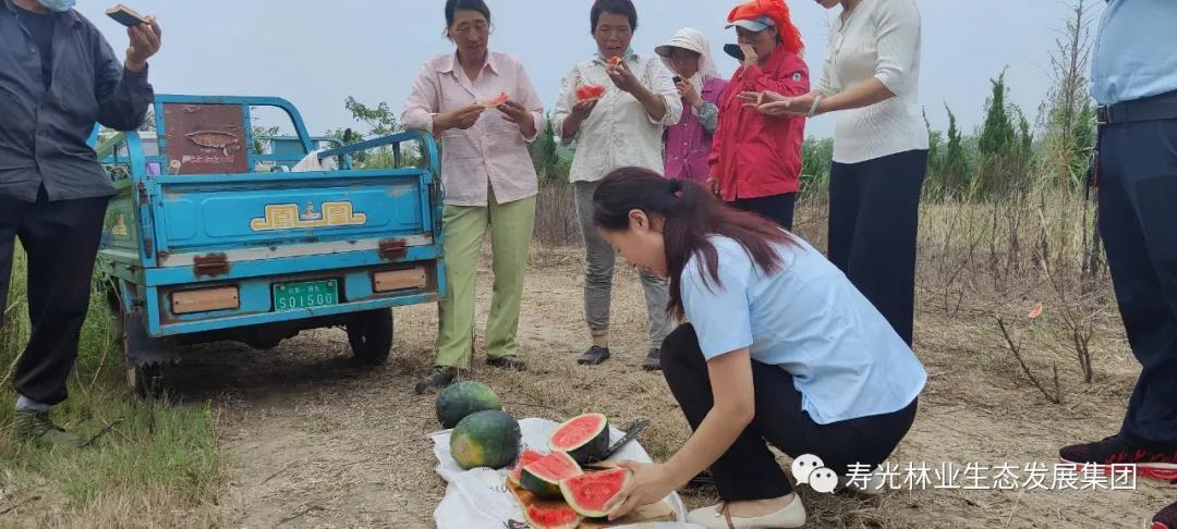 伟意国际(中国区)官方网站