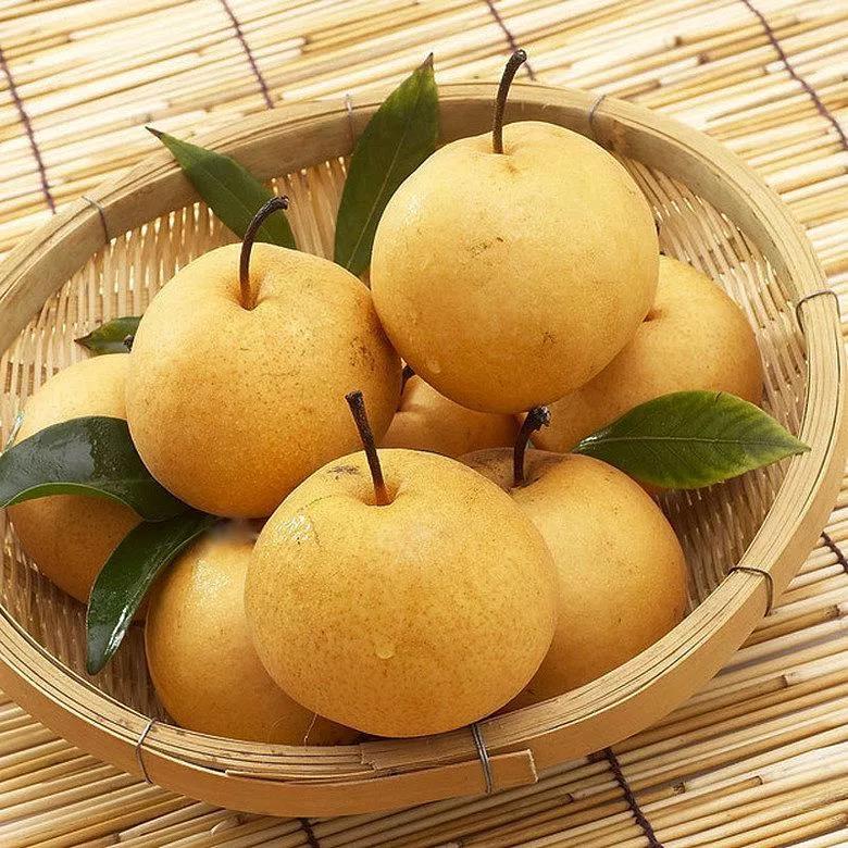 伟意国际(中国区)官方网站