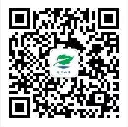 伟意国际(中国区)官方网站