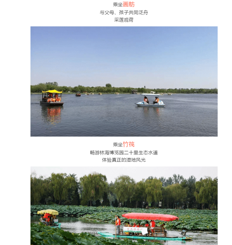 伟意国际(中国区)官方网站