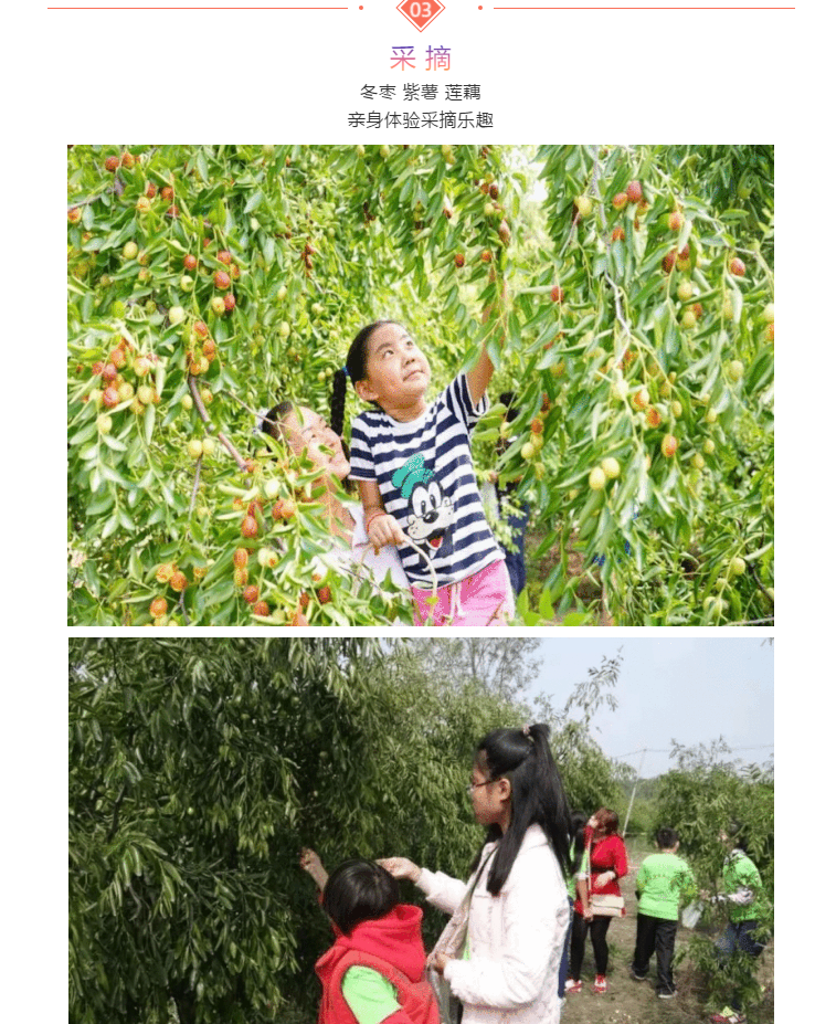 伟意国际(中国区)官方网站