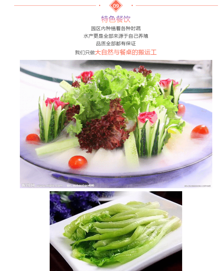伟意国际(中国区)官方网站