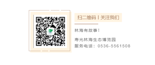 伟意国际(中国区)官方网站
