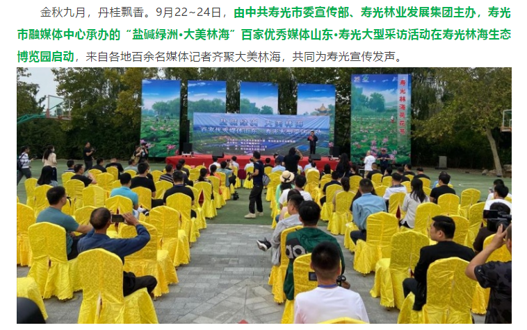 伟意国际(中国区)官方网站