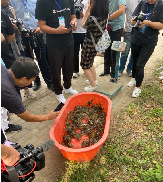伟意国际(中国区)官方网站