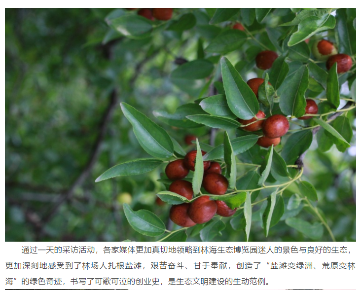 伟意国际(中国区)官方网站