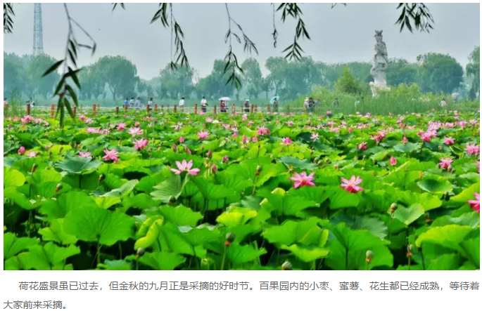 伟意国际(中国区)官方网站