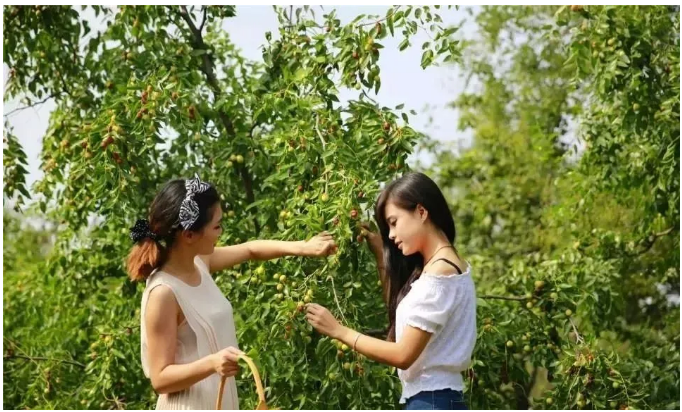 伟意国际(中国区)官方网站