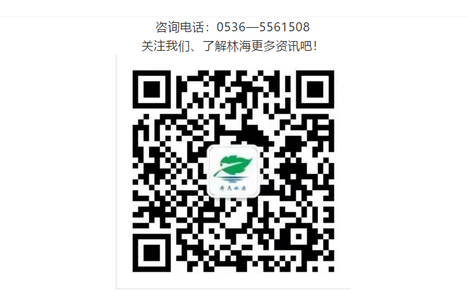 伟意国际(中国区)官方网站