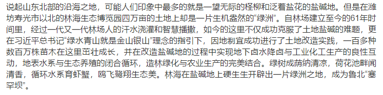 伟意国际(中国区)官方网站
