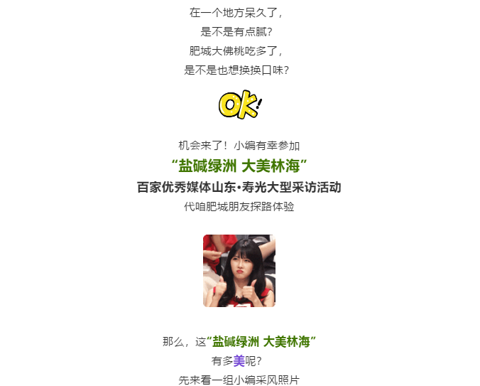 伟意国际(中国区)官方网站