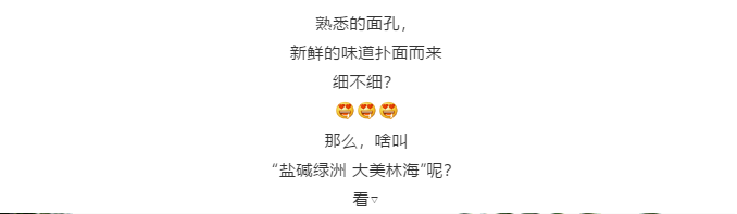 伟意国际(中国区)官方网站