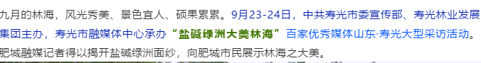 伟意国际(中国区)官方网站