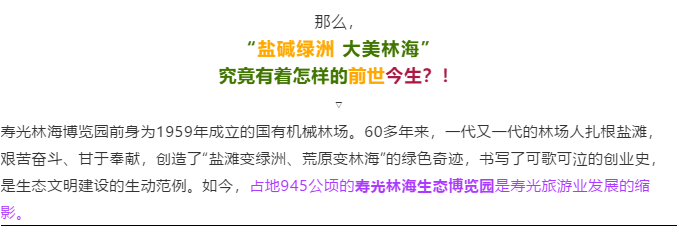 伟意国际(中国区)官方网站