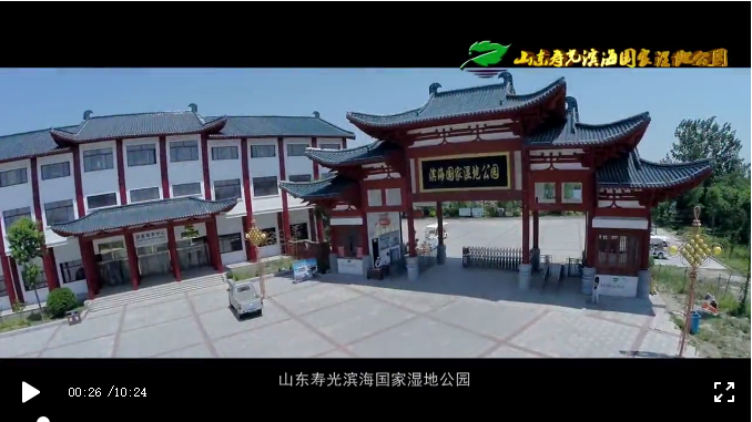 伟意国际(中国区)官方网站