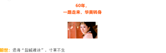 伟意国际(中国区)官方网站