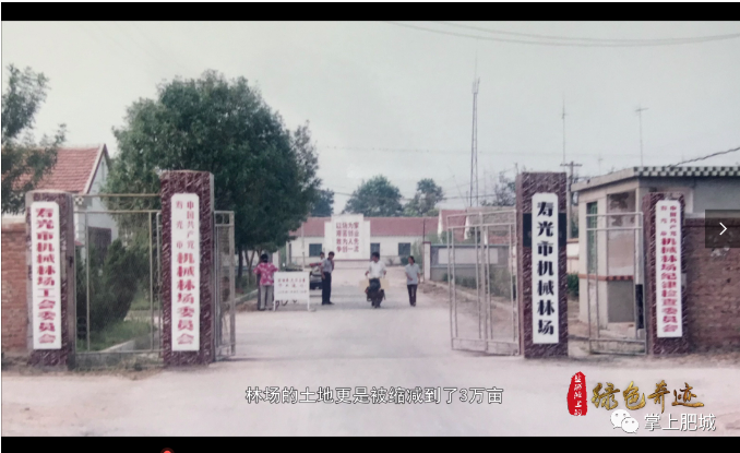 伟意国际(中国区)官方网站
