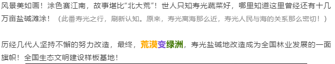伟意国际(中国区)官方网站