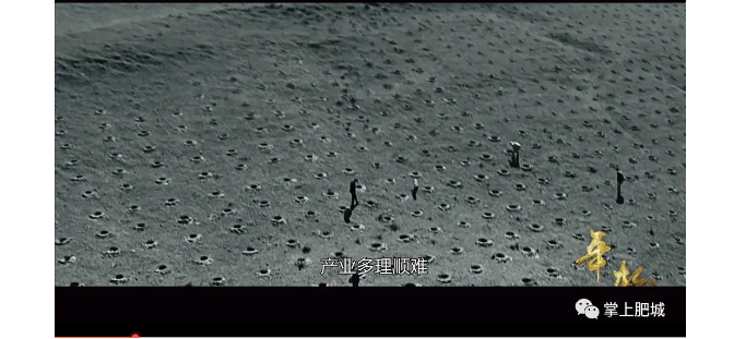 伟意国际(中国区)官方网站