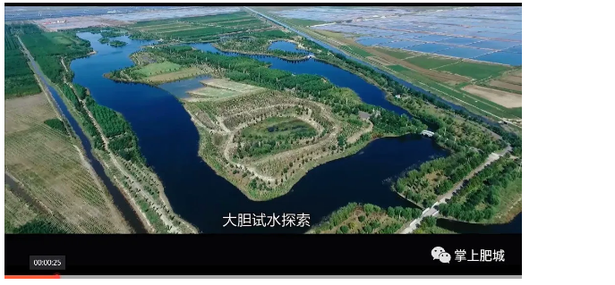 伟意国际(中国区)官方网站
