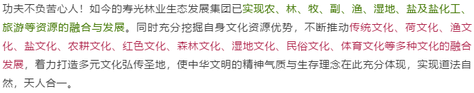 伟意国际(中国区)官方网站