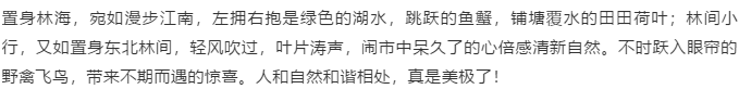 伟意国际(中国区)官方网站