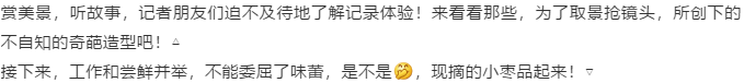 伟意国际(中国区)官方网站