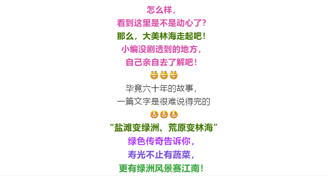 伟意国际(中国区)官方网站