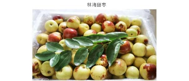 伟意国际(中国区)官方网站